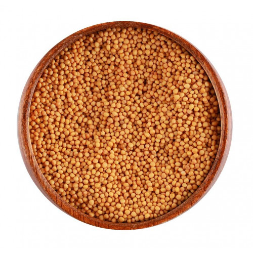 1645466698-Yellow20Mustard-500x500w.jpg بذور خردل أصفر - الصورة 1